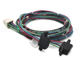 WIR09037 Trane Wire Harness