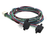 WIR09037 Trane Wire Harness