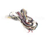 WIR09914 Trane Wire Harness Power Controls