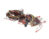 WIR10014 Trane Wire Harness Controls - Rtrm