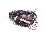 WIR2346 Trane Wiring