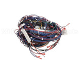 WIR2346 Trane Wiring