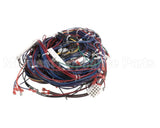 WIR2346 Trane Wiring