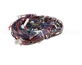 WIR2346 Trane Wiring