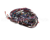 WIR2346 Trane Wiring