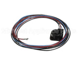 WIR3351 Trane Ckt 2 Scoll Compressor Wire