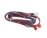 WIR3423 Trane Wiring