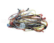 WIR4138 Trane Wiring