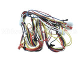WIR4138 Trane Wiring