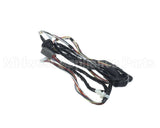 WIR6764 Trane Wiring Harness