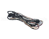 WIR6764 Trane Wiring Harness
