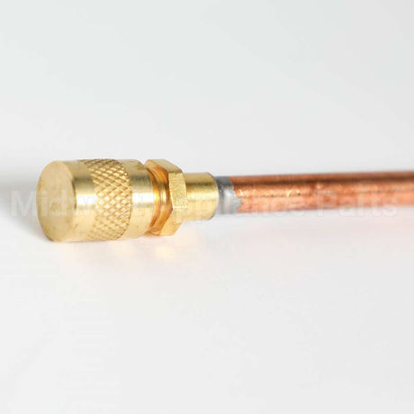 WJ56X25157 GE Process Valve