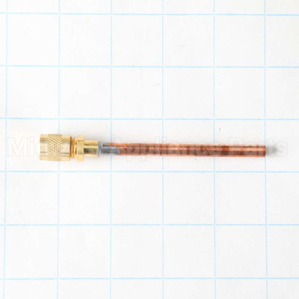 WJ56X25157 GE Process Valve