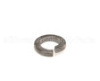 WL-003-13 Hobart Lock Washer