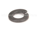 WL-003-36 Hobart Lockwasher