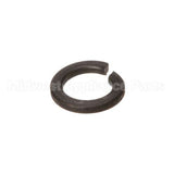 WL-006-06 Hobart Lockwasher