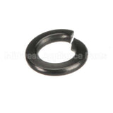 WL-006-44 Hobart Lockwasher