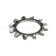 WL-014-31 Hobart Washer