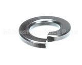 WL38 Doughpro Proluxe Washer, 3/8 Split Lock, Csd157