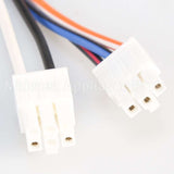 WP2310169 Whirlpool Harness