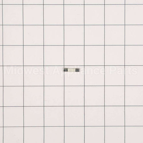 WP23X10027 GE Fuse