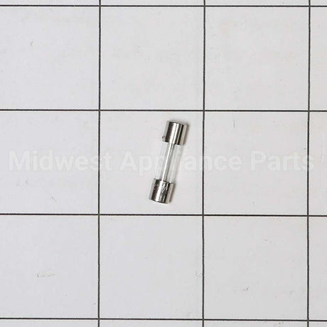 WP23X10028 GE Fuse