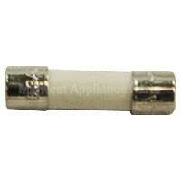 WPW10111181 Whirlpool Fuse