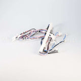 WPW10339734 Whirlpool Harns-Wire