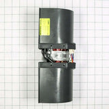 WPW10416638 Whirlpool Motor-Fan