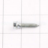 WR01X10918 GE Scr 12-24 Tt Ovt 1.000 S