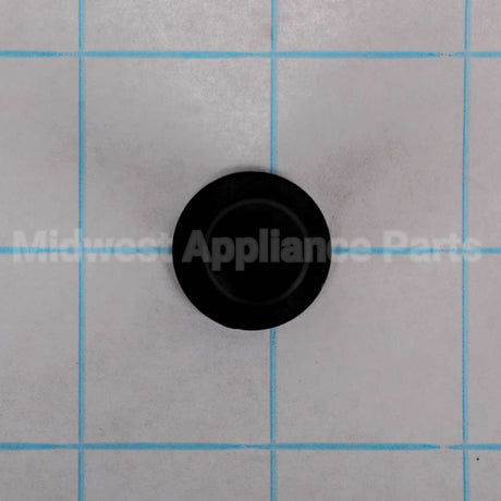 WR01X10956 GE Thimble Door