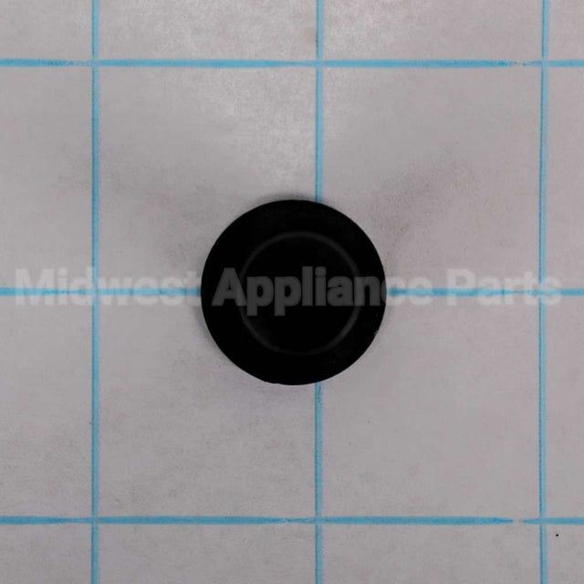 WR01X10956 GE Thimble Door