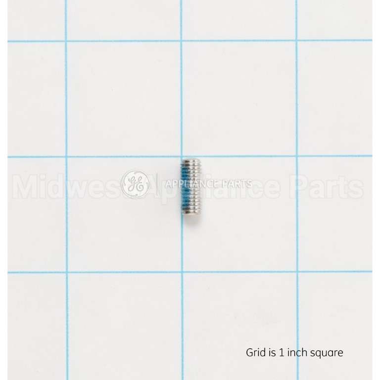 WR01X11036 GE Screw Set Door Fz