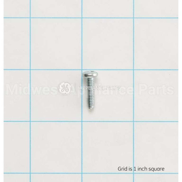 WR01X11038 GE Scr8-32 Tt Pnt 5/8S