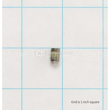 WR01X11057 GE Set Screw .250 Dia.