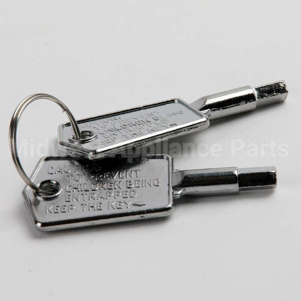 WR01X28053 GE Door Key