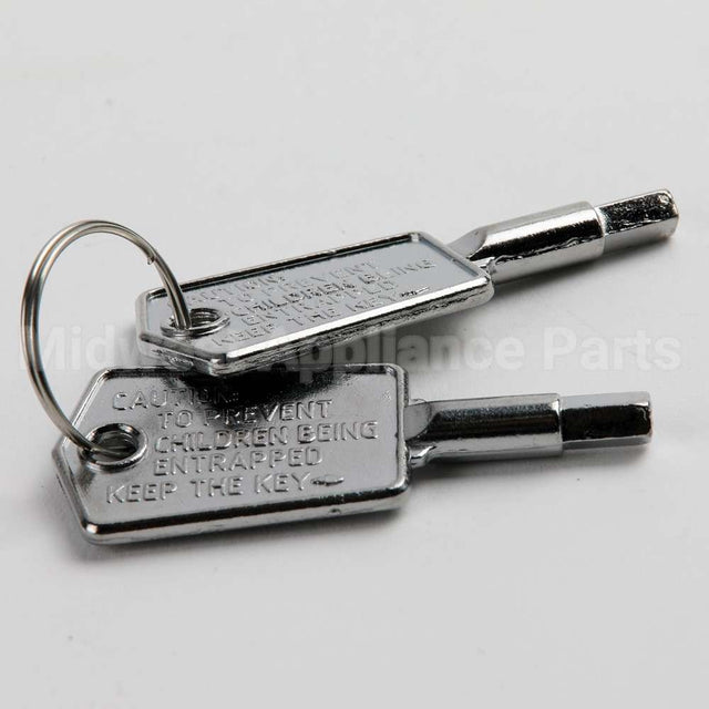 WR01X28053 GE Door Key