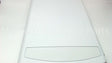 WR17X12984 GE Refrigerator Door Assembly