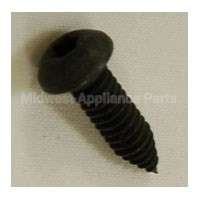 WR1X1752 GE Screw