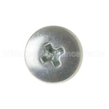 WR1X2130 GE Screw