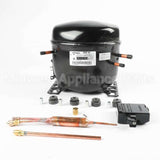 WR87X10199 GE Compressor Kit Inverter