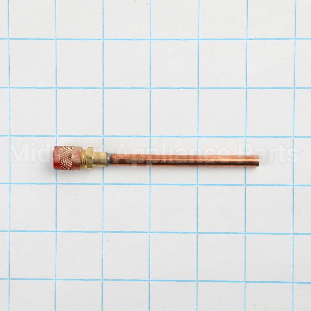WR87X30876 GE R600 Process Valve W/ Red Cap