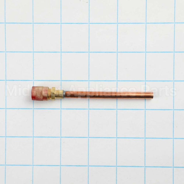 WR87X30876 GE R600 Process Valve W/ Red Cap