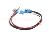 WRHARNESSXRO1 Food Warming Wire Harness Dxl Control Xr01Cx