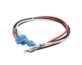 WRHARNESSXRO1 Food Warming Wire Harness Dxl Control Xr01Cx