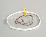 WS-63927 Wells Probe T-Couple 208/240V