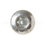 WS02X10074 GE Scr T20H Tamper Proof