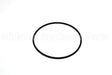 WS02X22023 GE O Ring