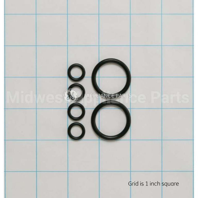 WS03X10046 GE O-Ring Kit(2Lg 4Sm)