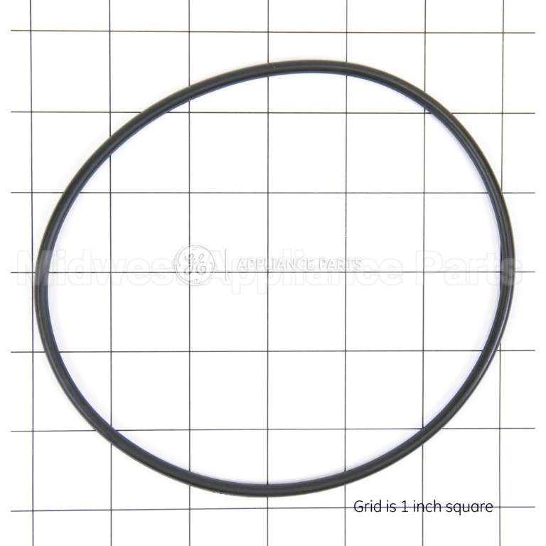 WS03X10054 GE O-Ring